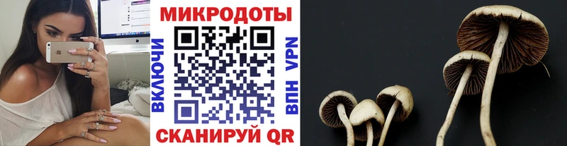 Галлюциногенные грибы мухоморы ОМГ ОМГ ССЫЛКА Болгар